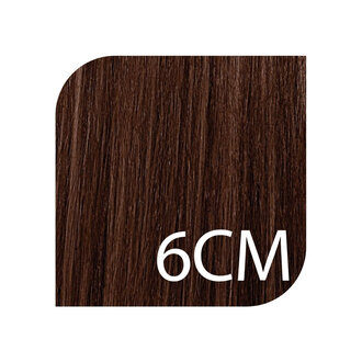 CHI Ionic 6CM - Light Chocolate Mocha Brown / Ionic Permanent No Ammonia Hair Color (85g/3.0oz)