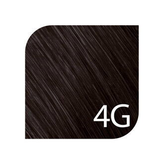 Goldwell. TopChic 4G - Châtaigne / Coloration permanente "TopChic" (60g/2.1oz) Goldwell. TopChic 4G - Châtaigne / Coloration permanente "TopChic" (60g/2.1oz)