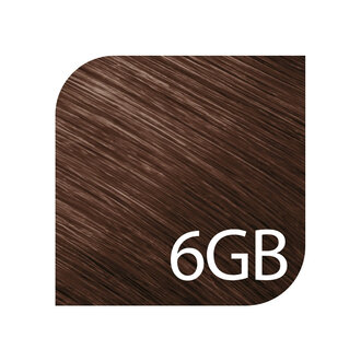 Goldwell. TopChic 6GB - Dark Blonde Gold Brown / TopChic Permanent Hair Color (60g/2.1oz)