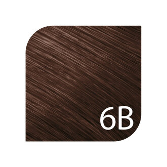 Goldwell. TopChic 6B - Gold Brown / TopChic Permanent Hair Color (60g/2.1oz)