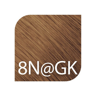 Goldwell. TopChic 8N@GK - Blond clair cuivre doré / Coloration permanente "Topchic" (60g/2.1oz) Goldwell. TopChic 8N@GK - Blond clair cuivre doré / Coloration permanente "Topchic" (60g/2.1oz)