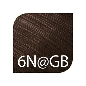 Goldwell. TopChic 6N@GB - Dark Blonde @ Gold Brown / TopChic Permanent Hair Color (60g/2.1oz)