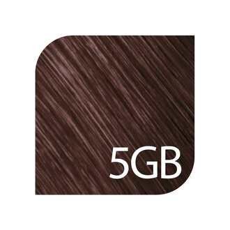Goldwell. TopChic 5GB - Light Brown Gold Brown / TopChic Permanent Hair Color (60g/2.1oz)