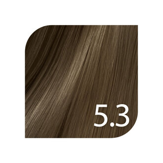 Revlonissimo Color Excel 5.3 - Light Golden Brown / Color Excel by Revlonissimo Ammonia Free Tone on Tone Color (70ml/2.3oz)