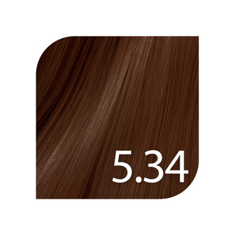 Revlonissimo Color Excel 5.34 - Light Golden Copper Brown / Color Excel by Revlonissimo Ammonia Free Tone on Tone Color (70ml/2.3oz)