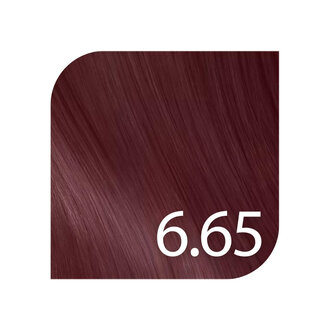 Revlonissimo Color Excel 6.65 - Rouge pourpre / Coloration ton sur ton sans ammoniaque "Color Excel by Revlonissimo" (70ml/2.3oz) Revlonissimo Color Excel 6.65 - Rouge pourpre / Coloration ton sur ton sans ammoniaque "Color Excel by Revlonissimo" (70ml/2.3oz)