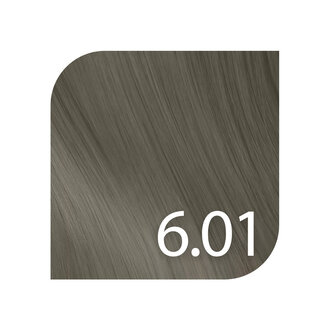 Revlonissimo Color Excel 6.01 - Blond foncé naturel cendré / Coloration ton sur ton sans ammoniaque "Color Excel by Revlonissimo" (70ml/2.3oz) Revlonissimo Color Excel 6.01 - Blond foncé naturel cendré / Coloration ton sur ton sans ammoniaque "Color Excel by Revlonissimo" (70ml/2.3oz)