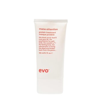 Evo Mane Attention Protein Treatment
