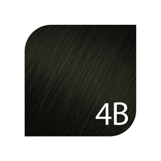 Kenra Color 4B - Medium Brown Brown / Kenra Color Express 10 minutes Permanent Coloring Creme (60ml/2.0oz)