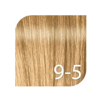 Schwarzkopf Igora Color10 Professional 9-5 - Blond très clair doré / Coloration permanente 10 minutes "Color10" (60ml/2.0oz) Schwarzkopf Igora Color10 Professional 9-5 - Blond très clair doré / Coloration permanente 10 minutes "Color10" (60ml/2.0oz)