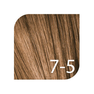 Schwarzkopf Igora Color10 Professional 7-5 - Blond moyen doré / Coloration permanente 10 minutes "Color10" (60ml/2.0oz) Schwarzkopf Igora Color10 Professional 7-5 - Blond moyen doré / Coloration permanente 10 minutes "Color10" (60ml/2.0oz)