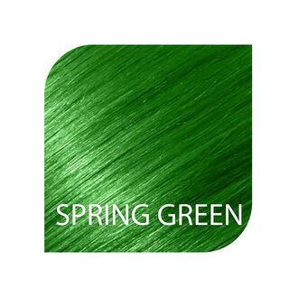 Punky Colour Spring Green / Semi-Permanent Conditioning Hair Color (100ml/3.5oz)