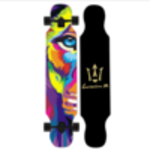 LONGBOARD LEMKEEP 41,5''x 9'' MULTICOULEUR