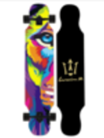 LONGBOARD LEMKEEP 41,5''x 9'' MULTICOULEUR