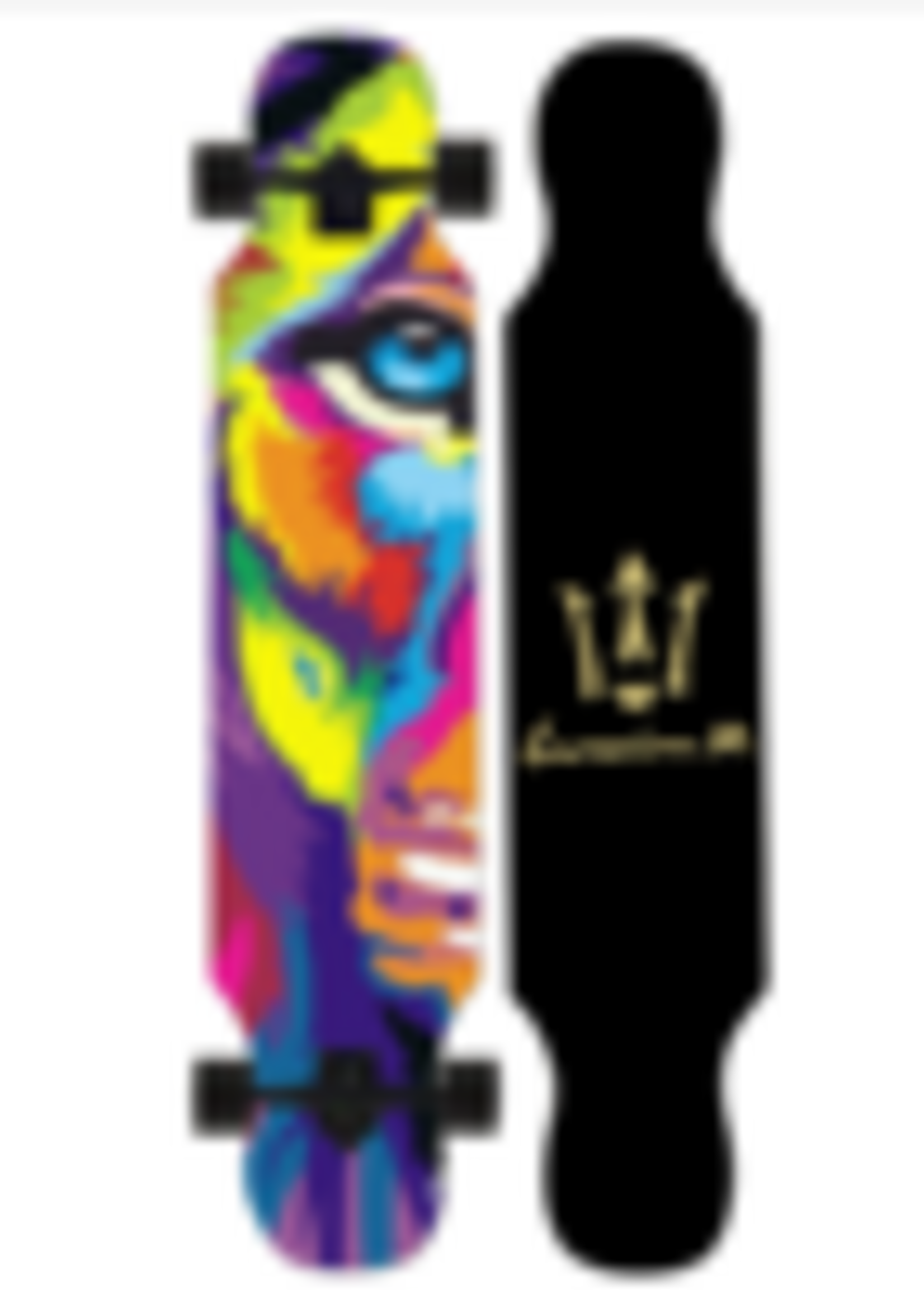 LONGBOARD LEMKEEP 41,5''x 9'' MULTICOULEUR