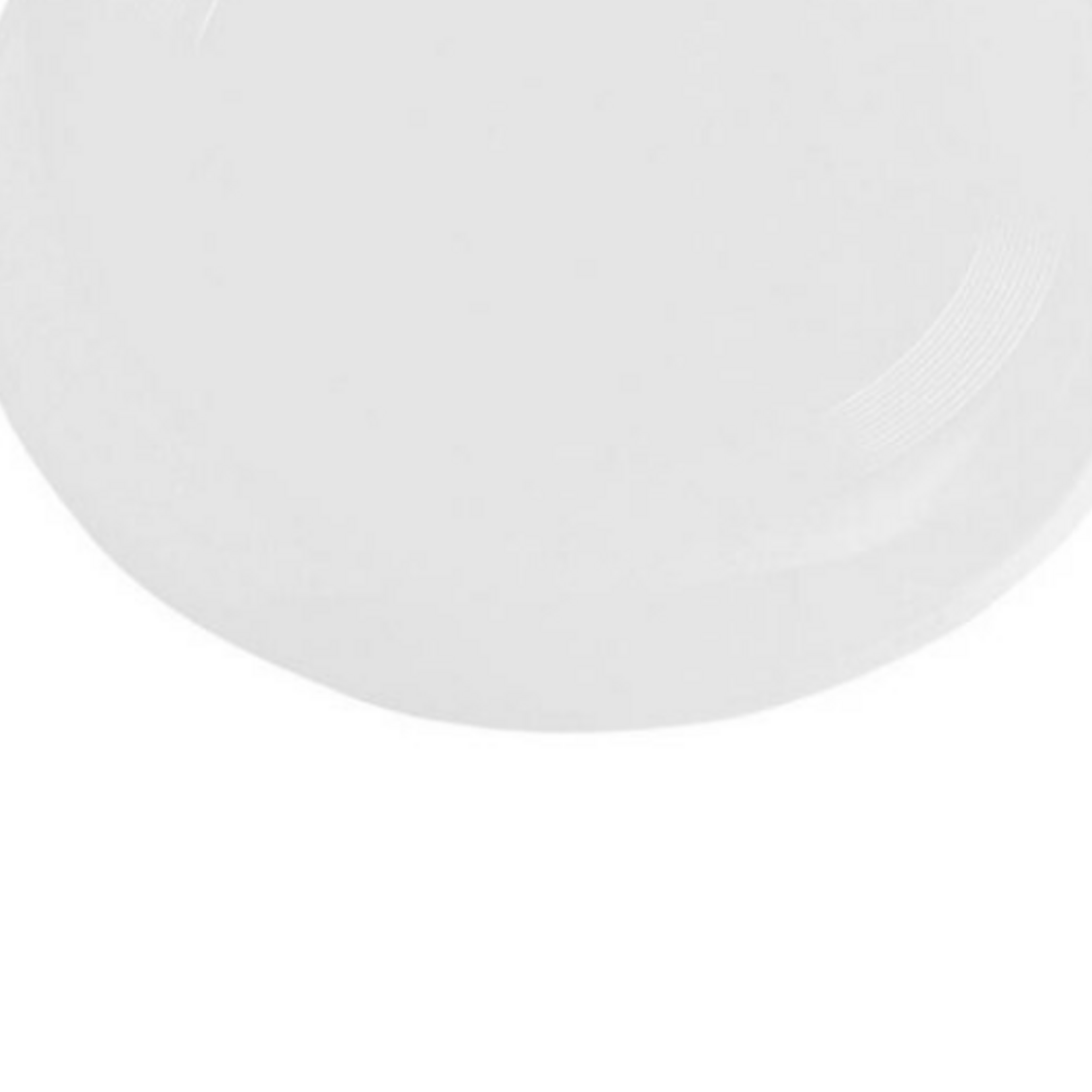 360 Atheletic Frisbee officiel 175 GR