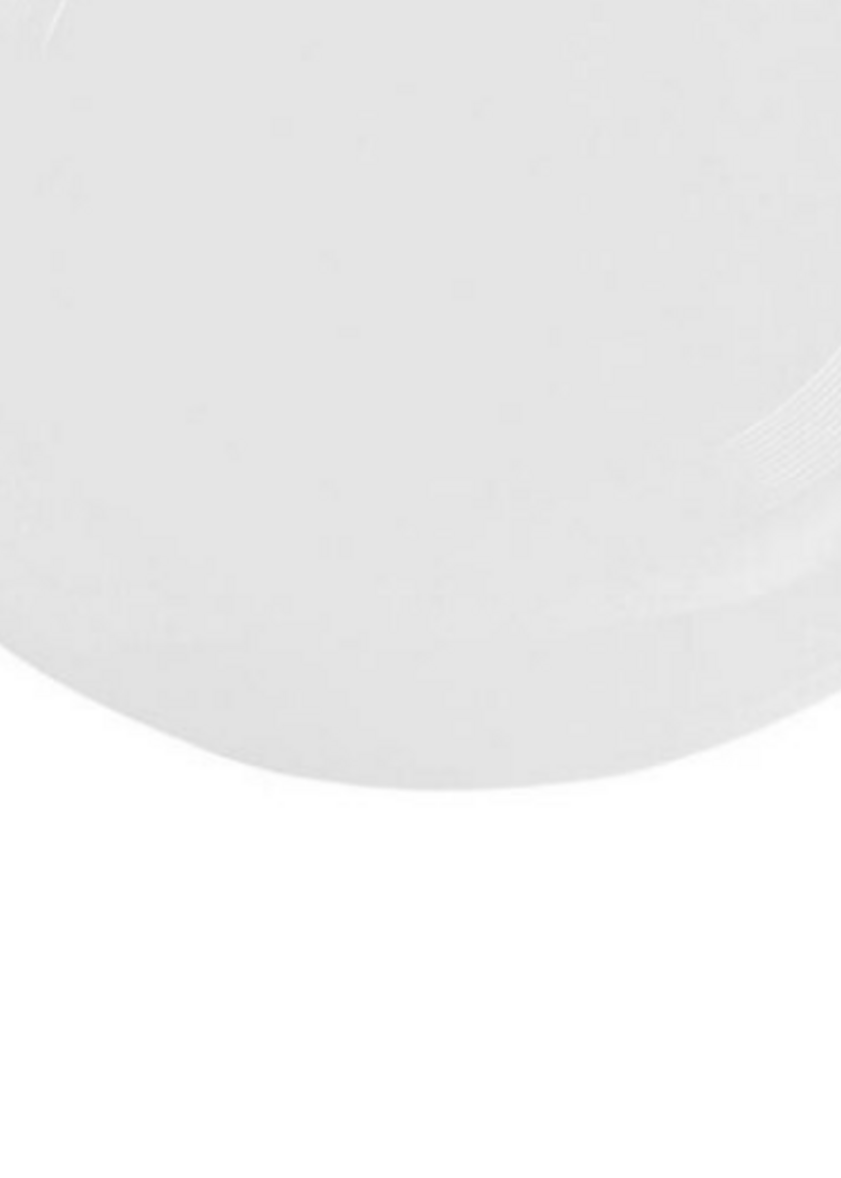 360 Atheletic Frisbee officiel 175 GR