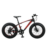 Forever TS180- 20 '' Fatbike Alu - Noir