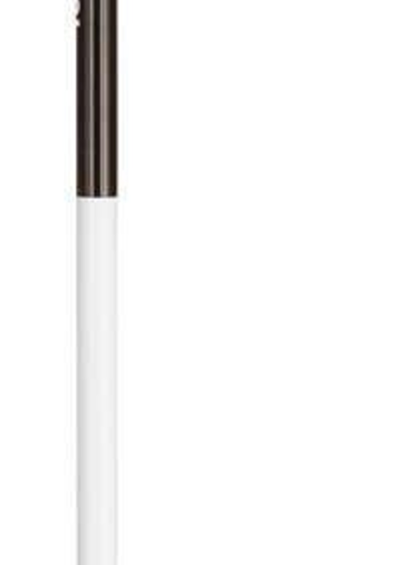 Rossignol FT-600 160cm pole rossignol unisex