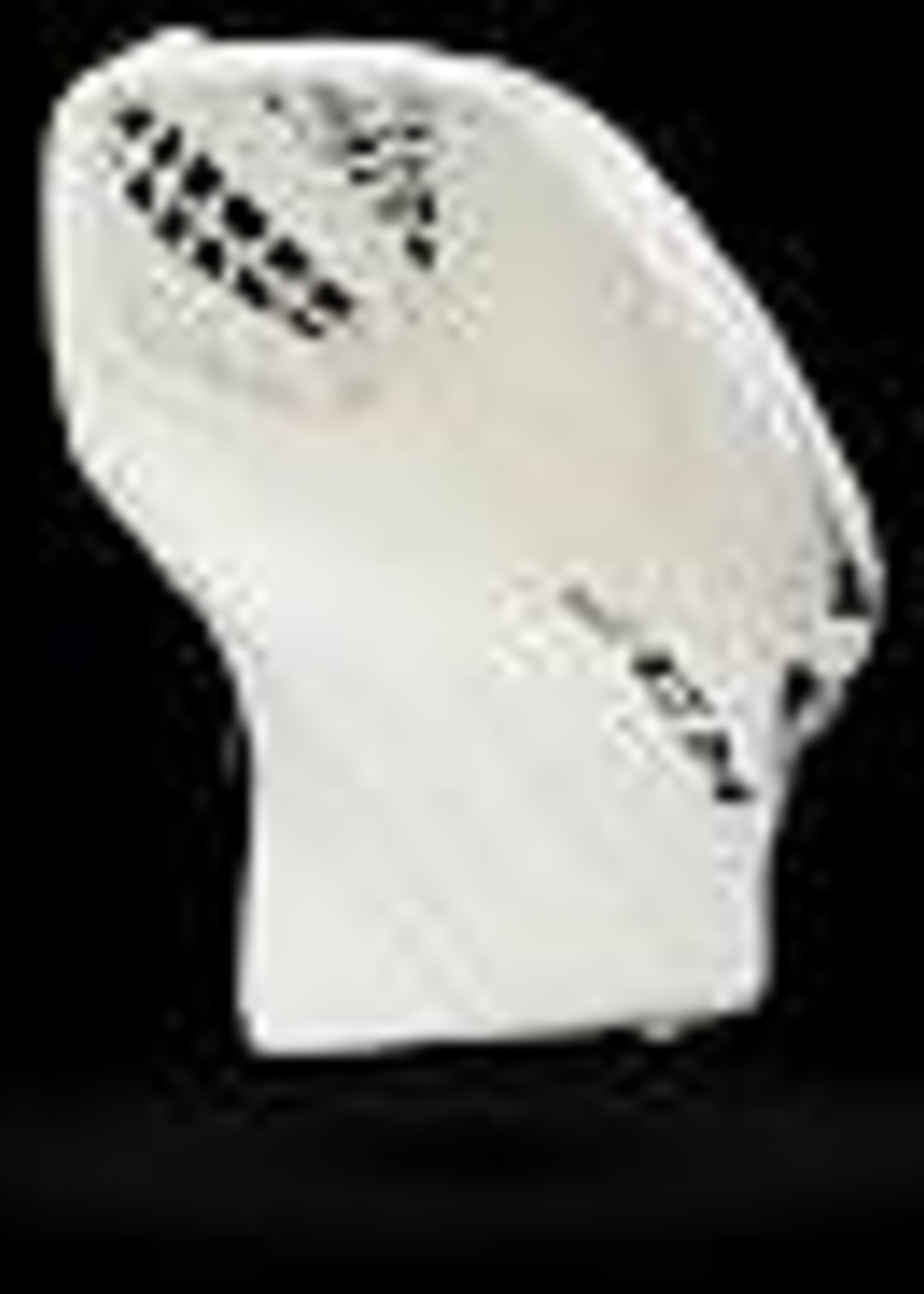 CCM Hockey GME5.9 SR CCM EFX Goalie Catcher White/White/White/White REG