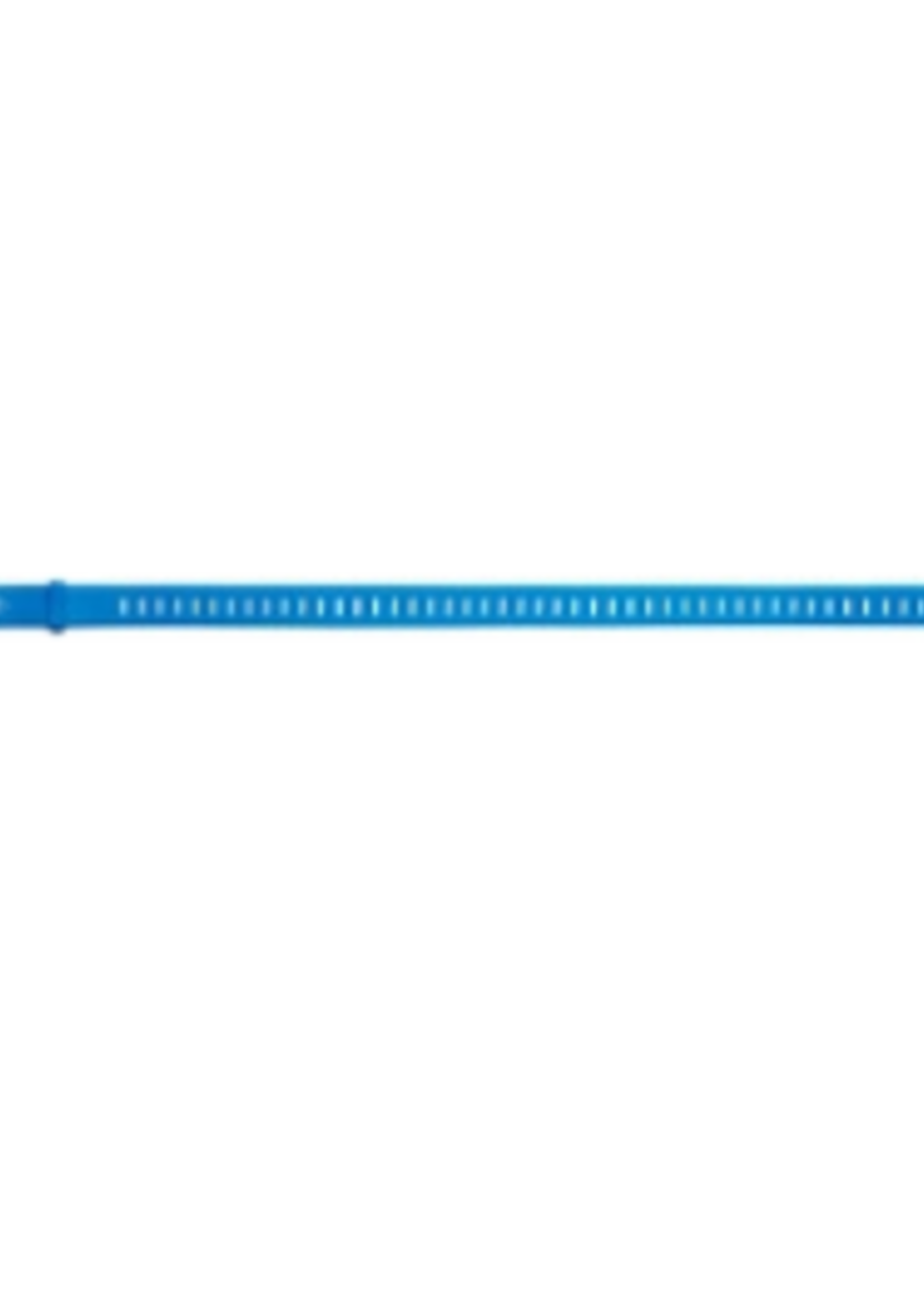 SKI STRAP 25in - Ultra Blue, 25 in