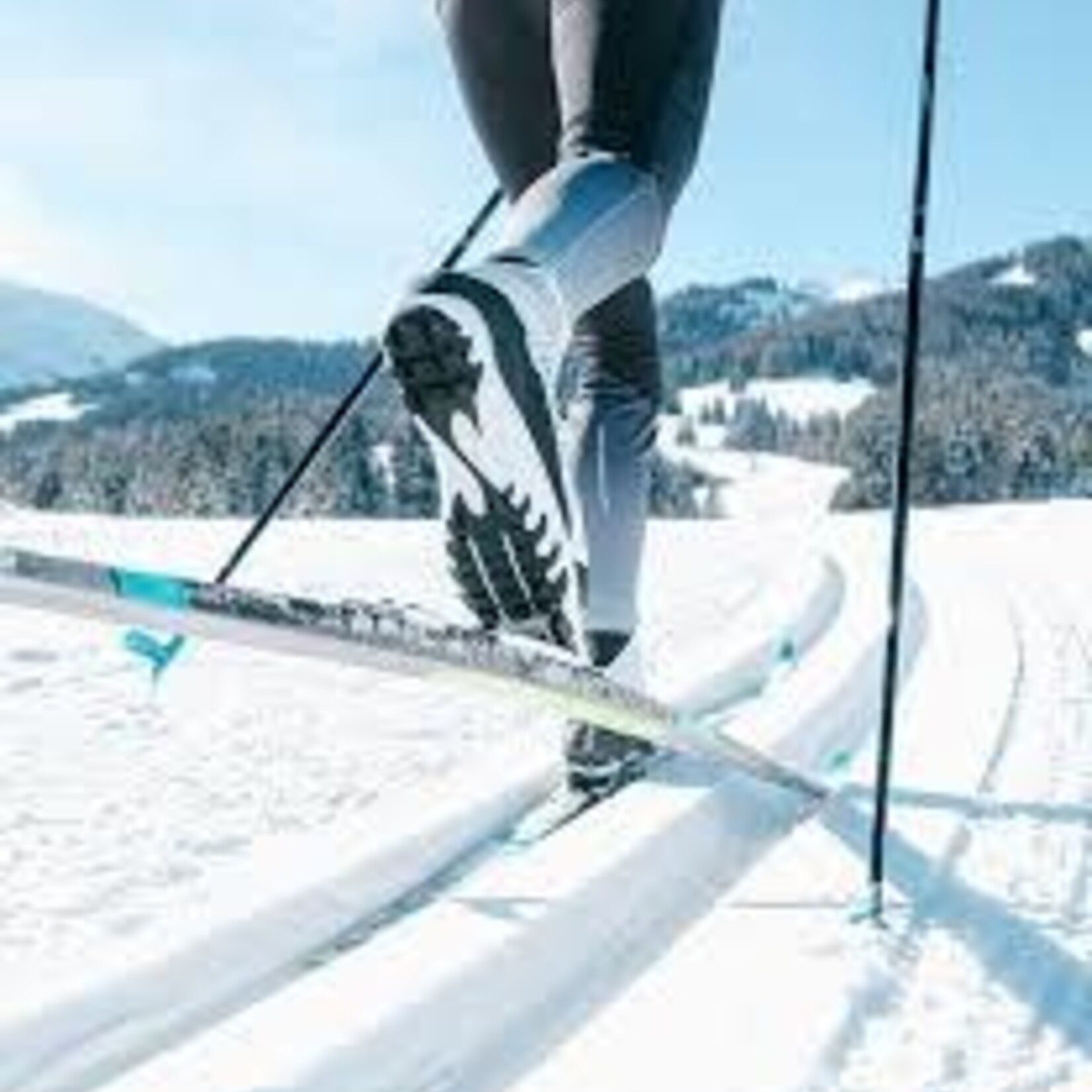 Équipement Sport De Glisse Usagé