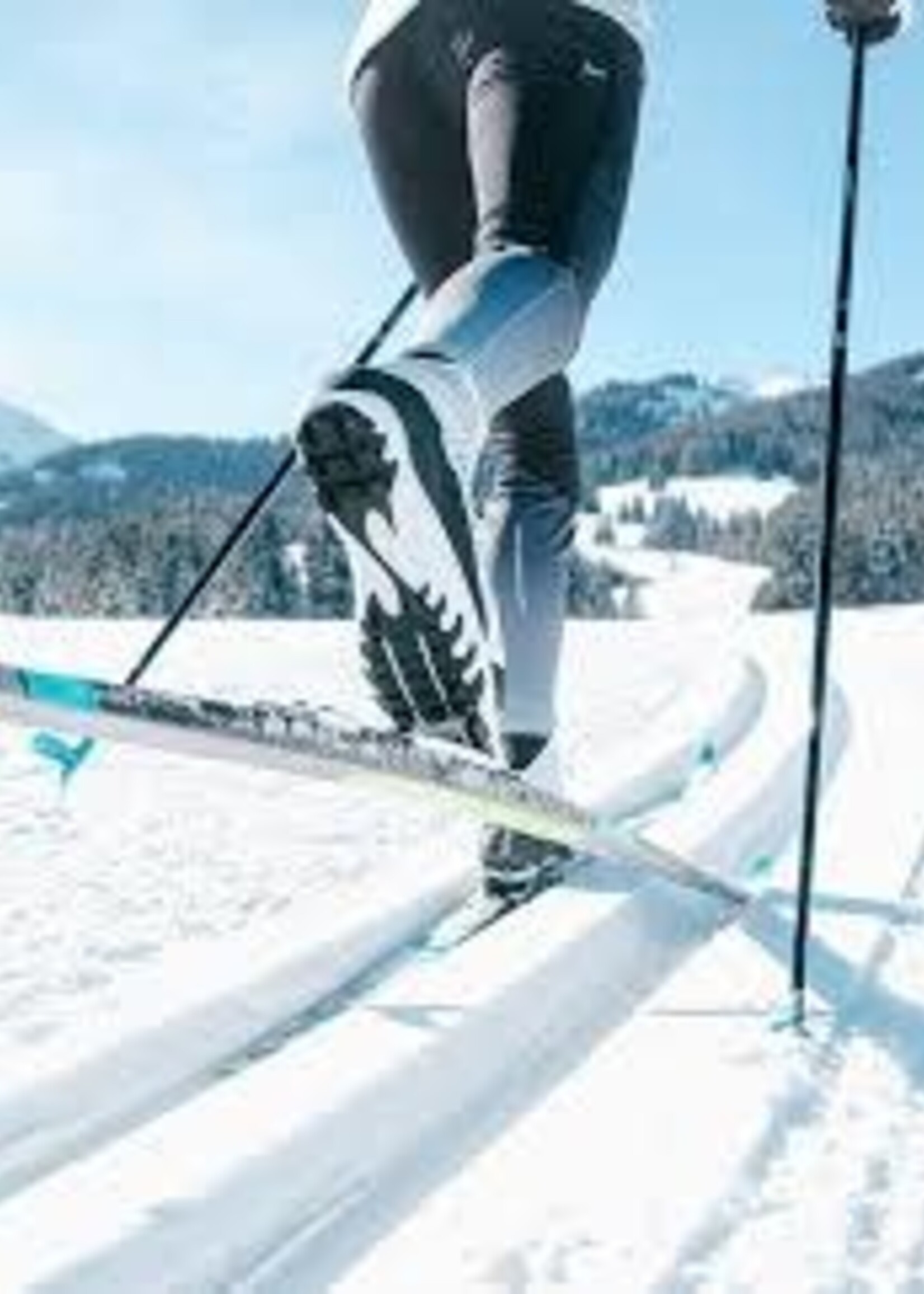 Équipement Sport De Glisse Usagé