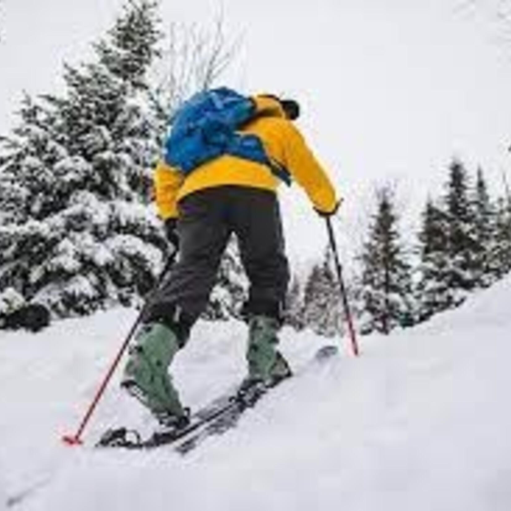 Équipement Sport De Glisse Usagé