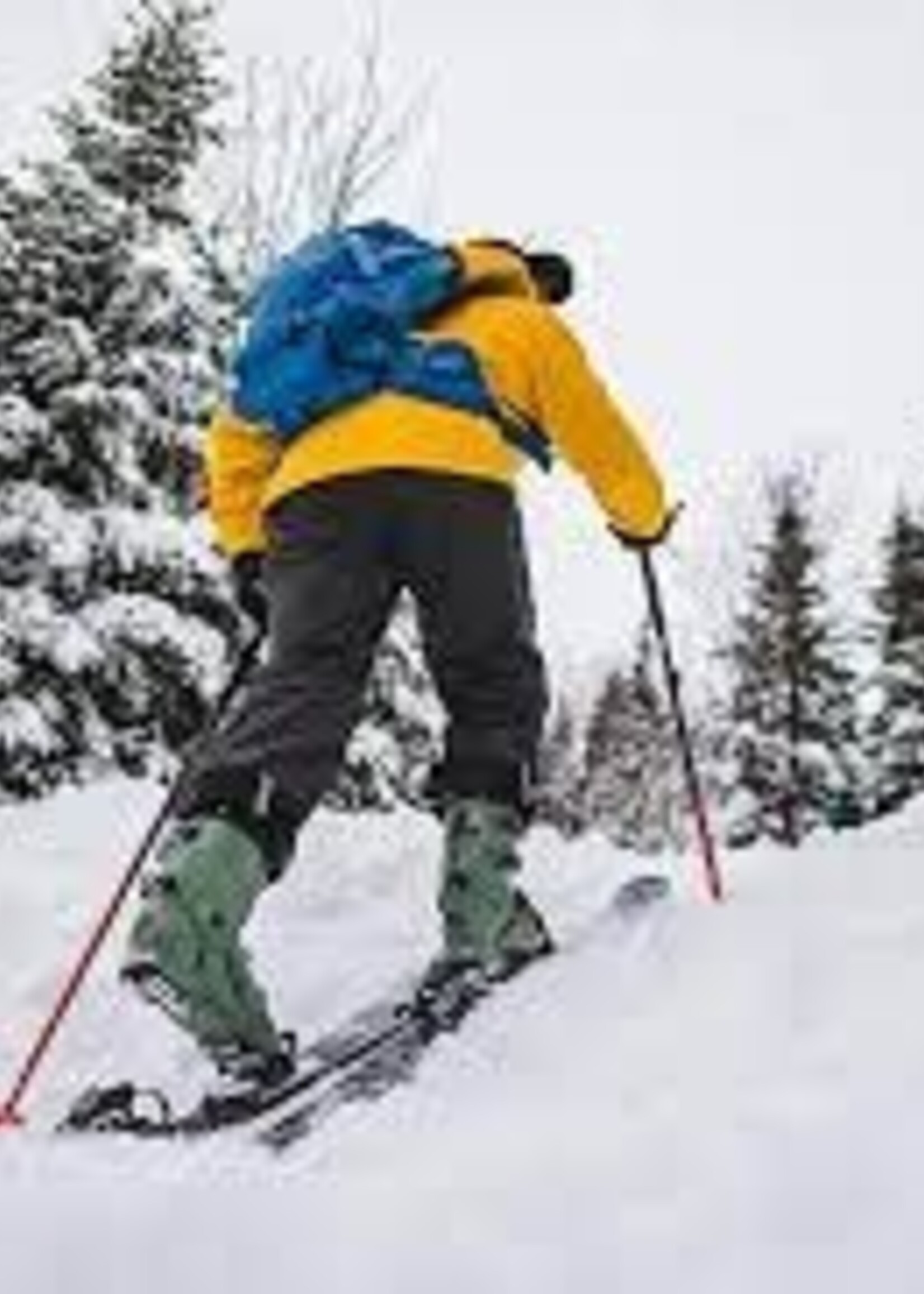 Équipement Sport De Glisse Usagé