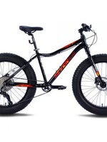 Location Fat Bike JR 1 semaine 200$