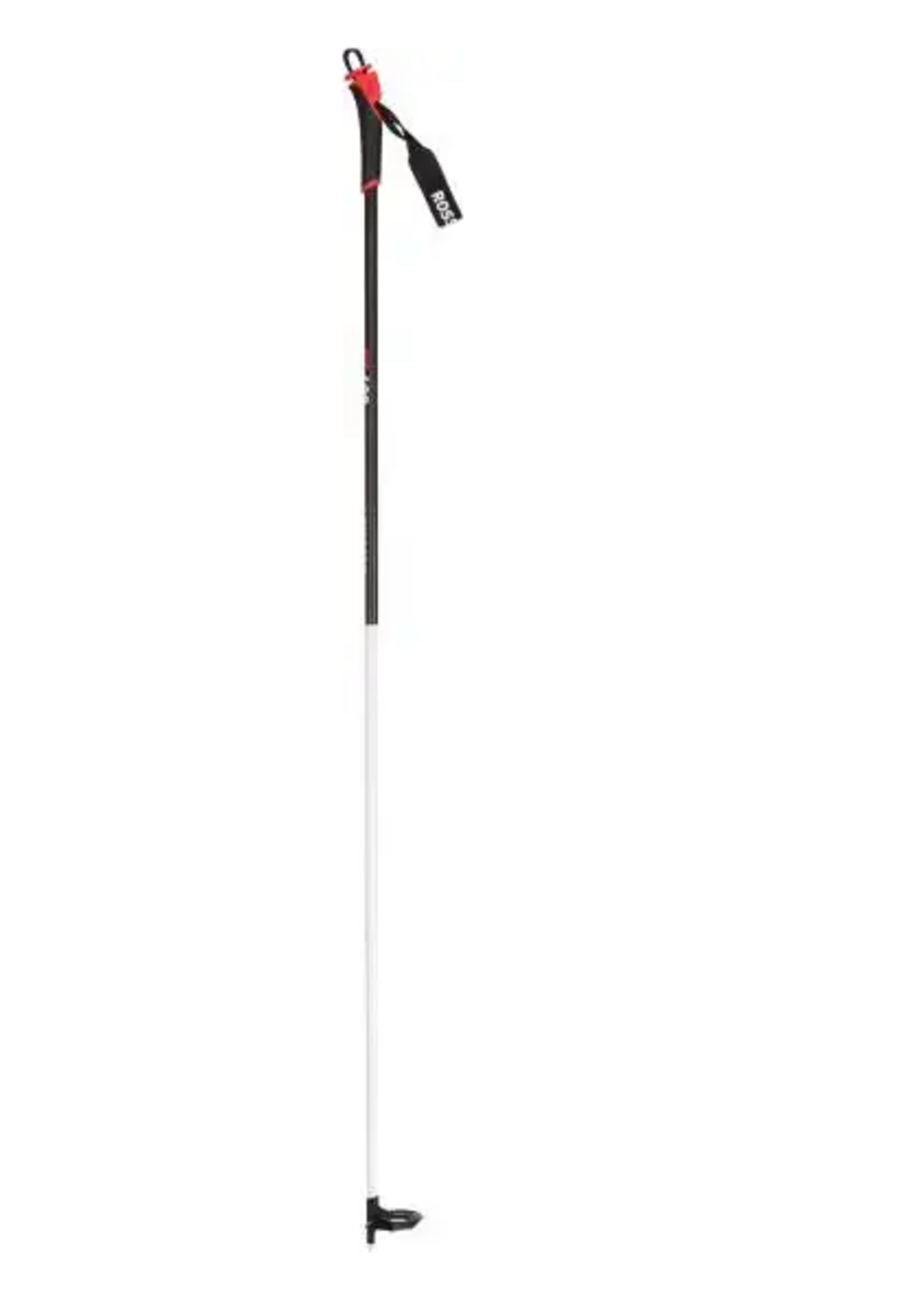 Location Pole  Fond saison