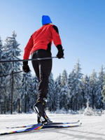 Location Ski de fond SR (1 semaine)  59.99 $