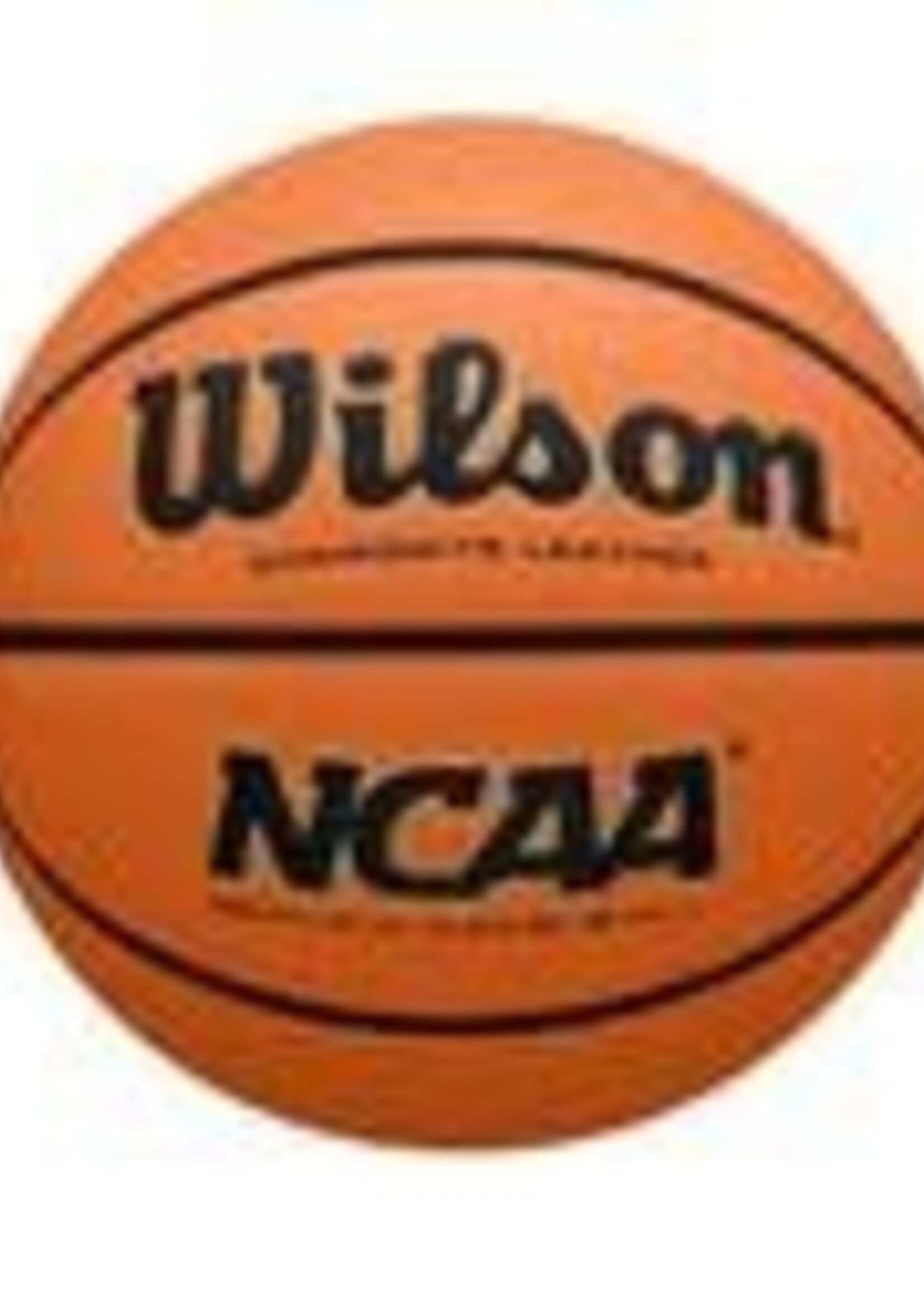 Wilson NCAA EVO