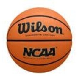 Wilson NCAA EVO