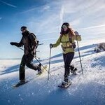 Raquettes à neige