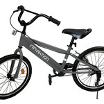 Vélo 20'' Gris Action AK802GYBK