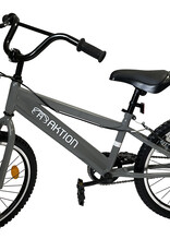 Vélo 20'' Gris Action AK802GYBK