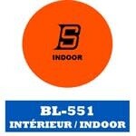 BLUE SPORTS ORANGE BALL - INDOOR