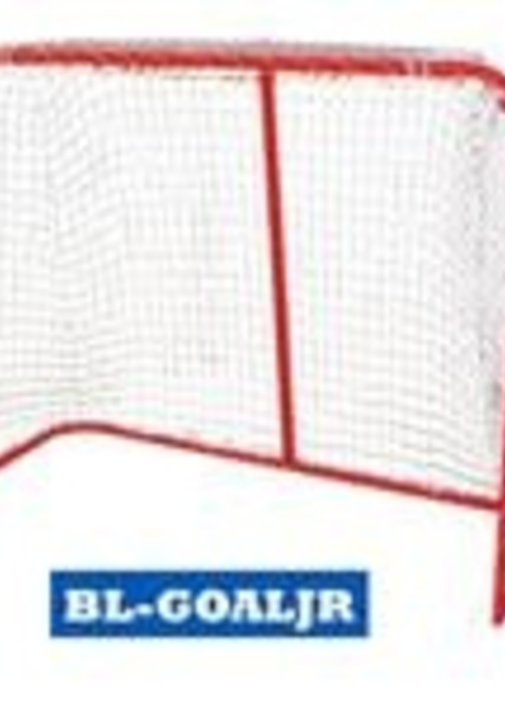 BLUE SPORTS JR GOAL 54" x 44" x 20"