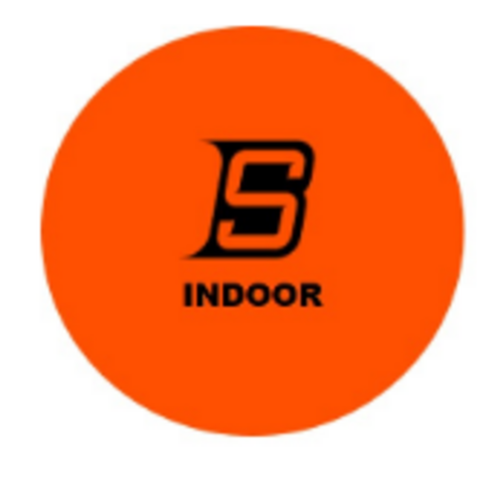 BLUE SPORTS ORANGE BALL - INDOOR