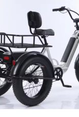 Happy Weekend Tricycle Électrique 500 watss 48 volte