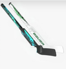 mystery mini Bâton de gardien goalie stick