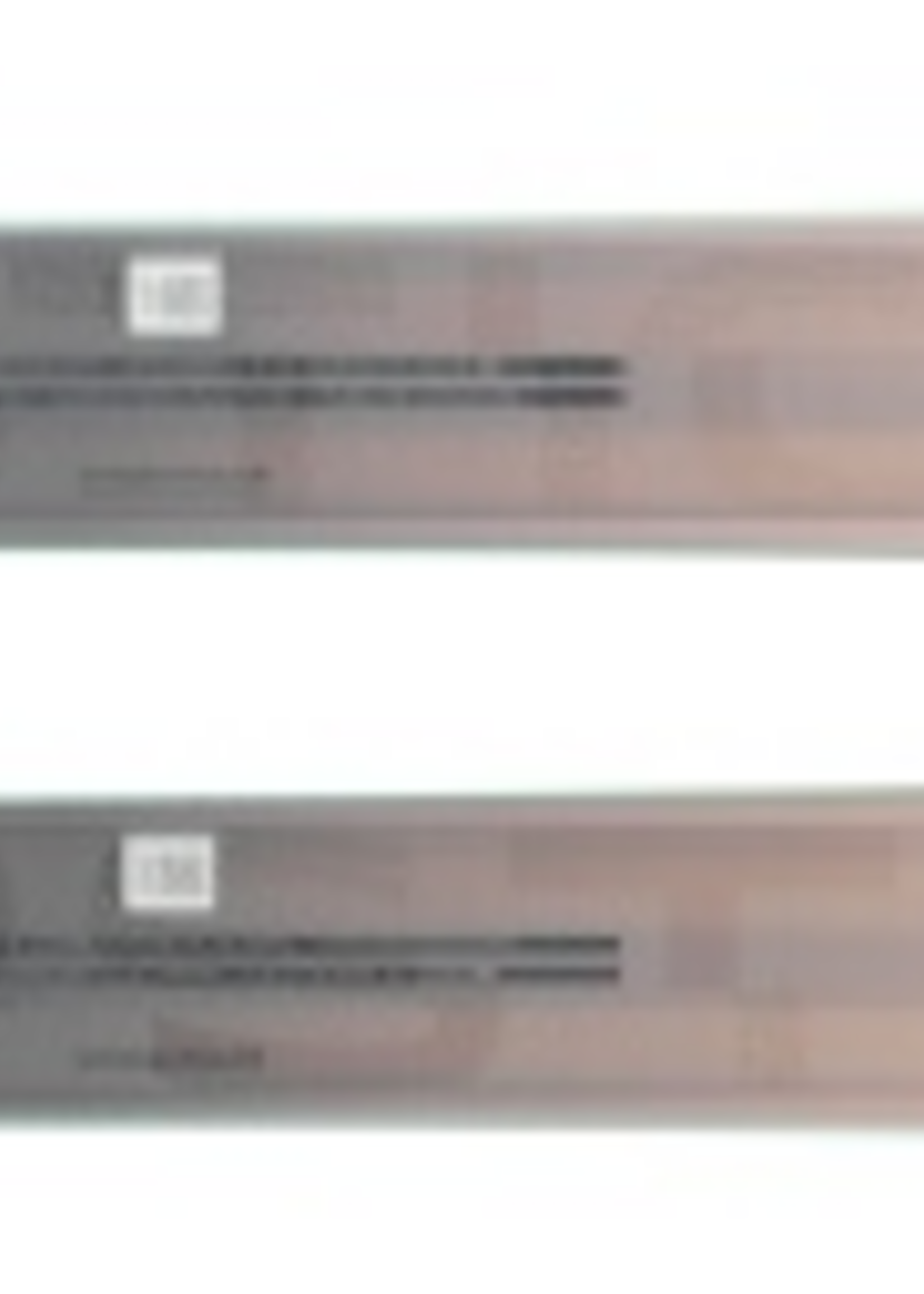 Elan RIPSTICK 94 W Flat 161