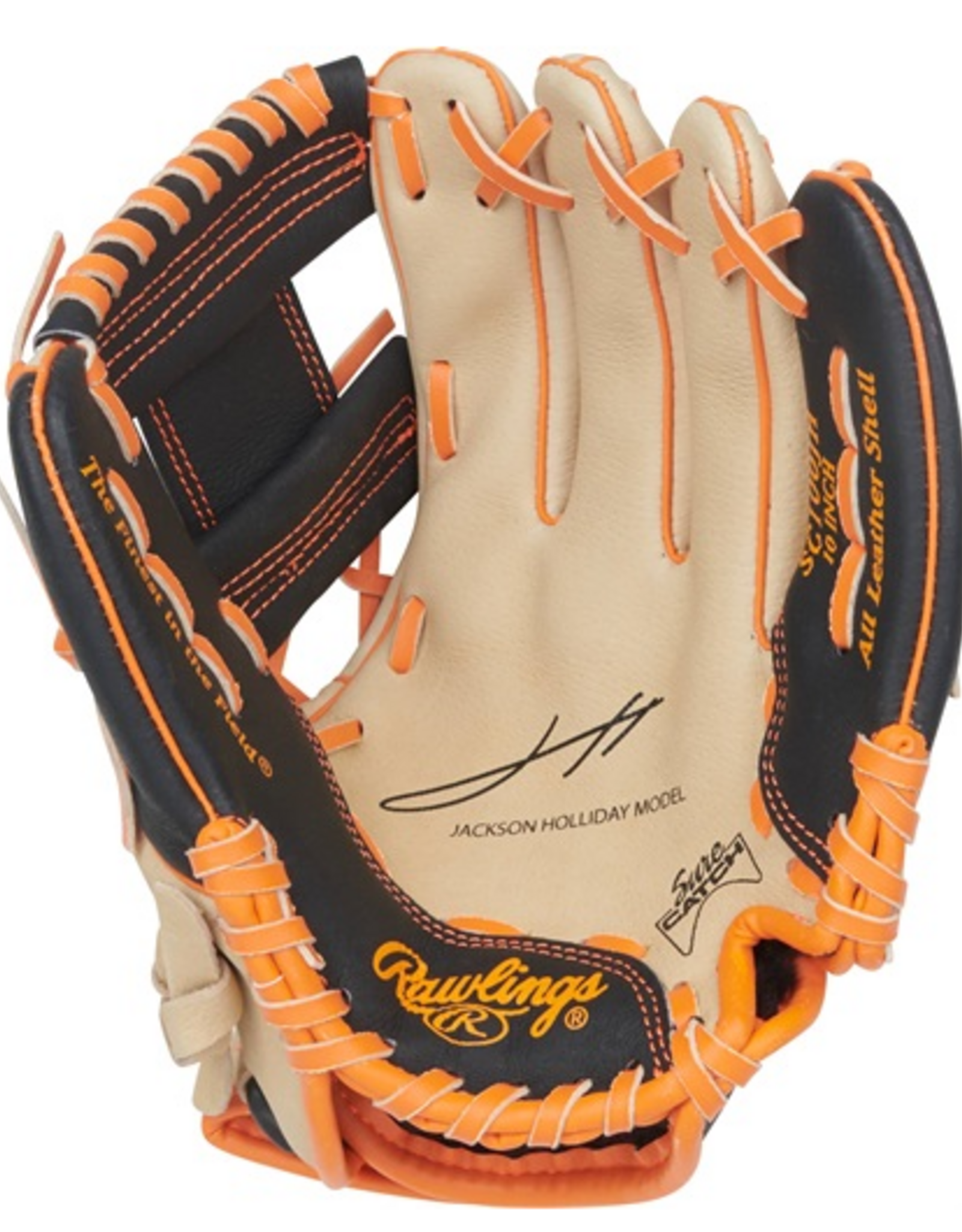 Rawlings Sure Catch  Baseball YT  Holliday