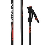 Poles de ski