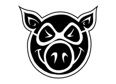 Pig