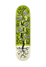 Real Real Deck Ishod Wair Peace Tree Limited (8.25)