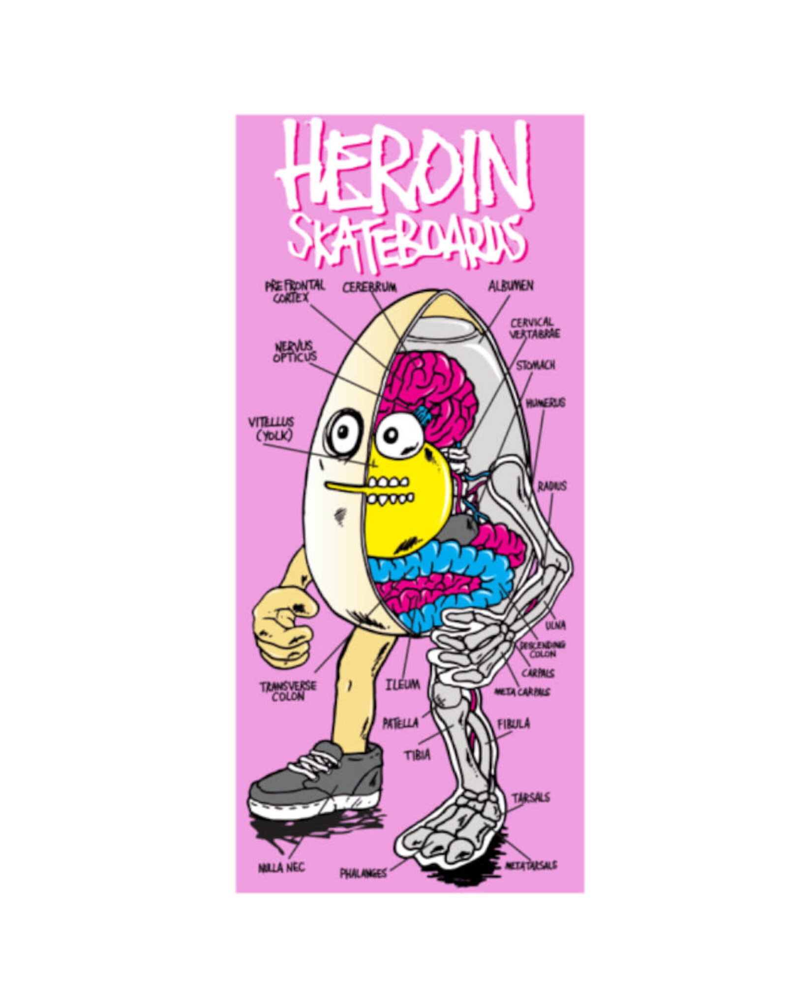 Heroin Heroin Sticker HO 23 Savages Anatomy