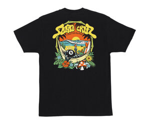 santa-cruz-santa-cruz-tee-