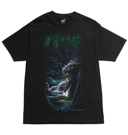 Deathwish Deathwish Tee Metaphysical S/S (Black)